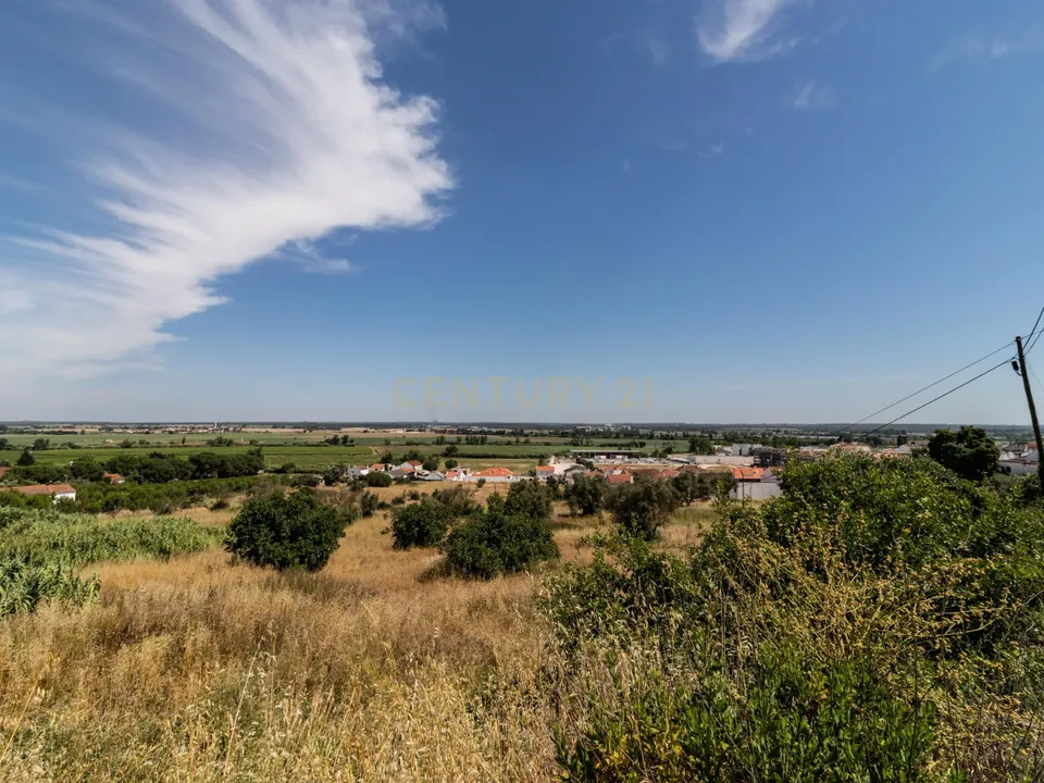 Helårsgrund i Coruche, Santarem - foto 2