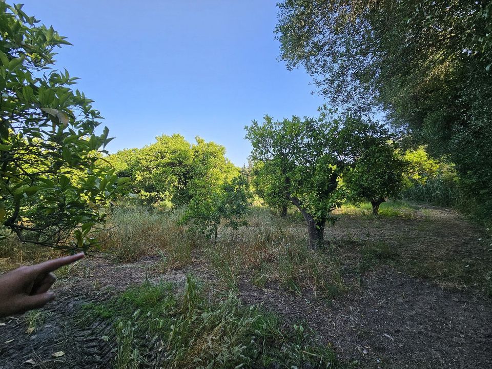 Erhvervsejendom i San Martin Del Tesorillo, Cadiz - foto 2
