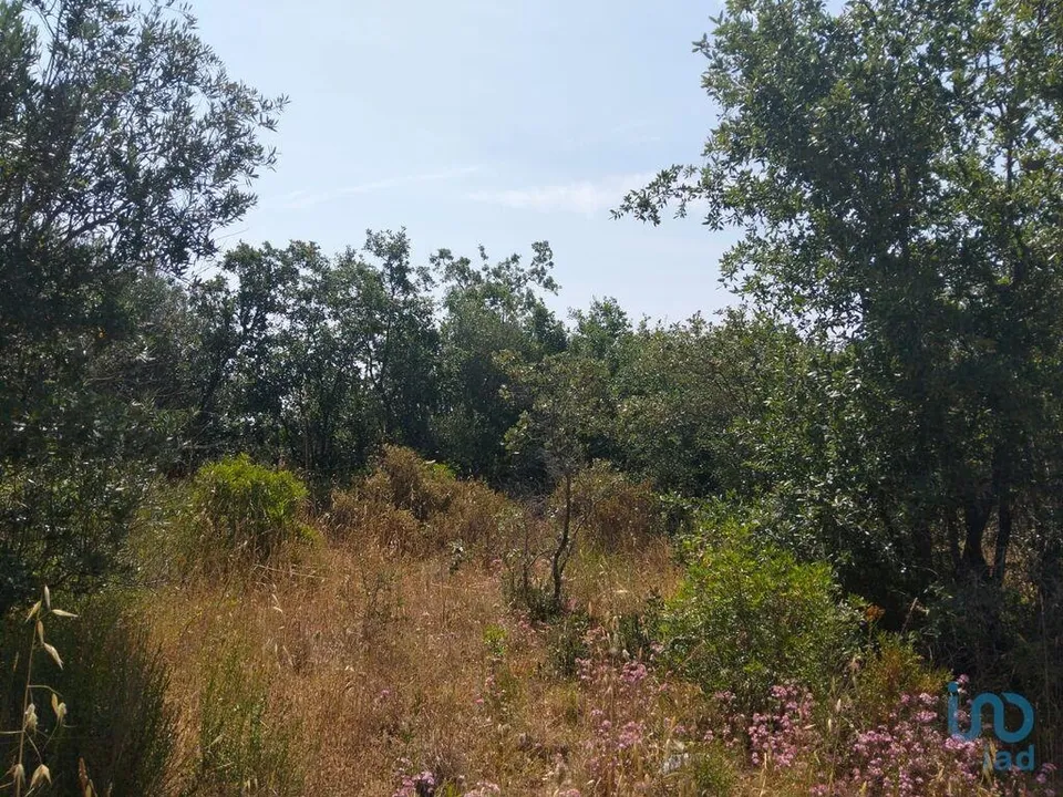 Helårsgrund i Ferreira do Zezere, Santarem - foto 1