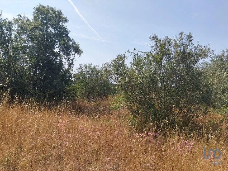 Helårsgrund i Ferreira do Zezere, Santarem - foto 2