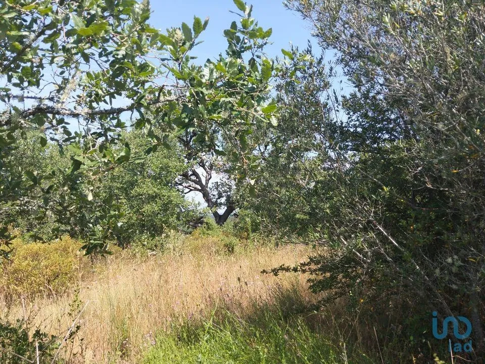Helårsgrund i Ferreira do Zezere, Santarem - foto 3