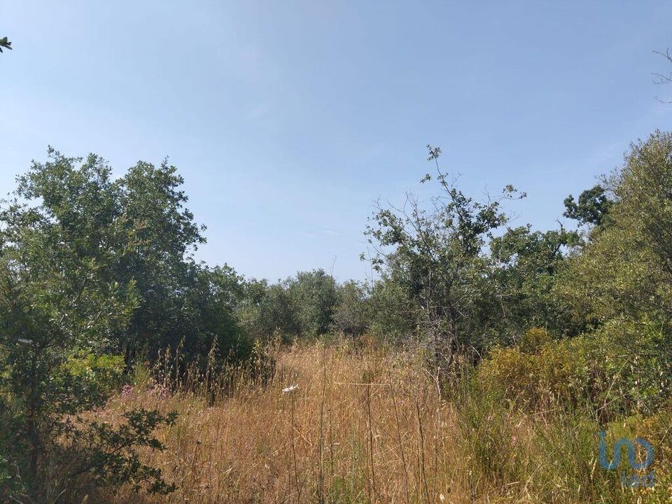 Helårsgrund i Ferreira do Zezere, Santarem - foto 4