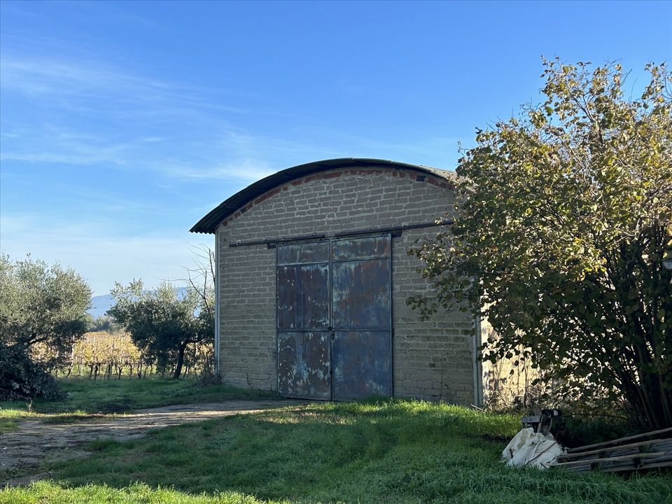 Farm hus i Castiglione del Lago, Perugia - foto 4