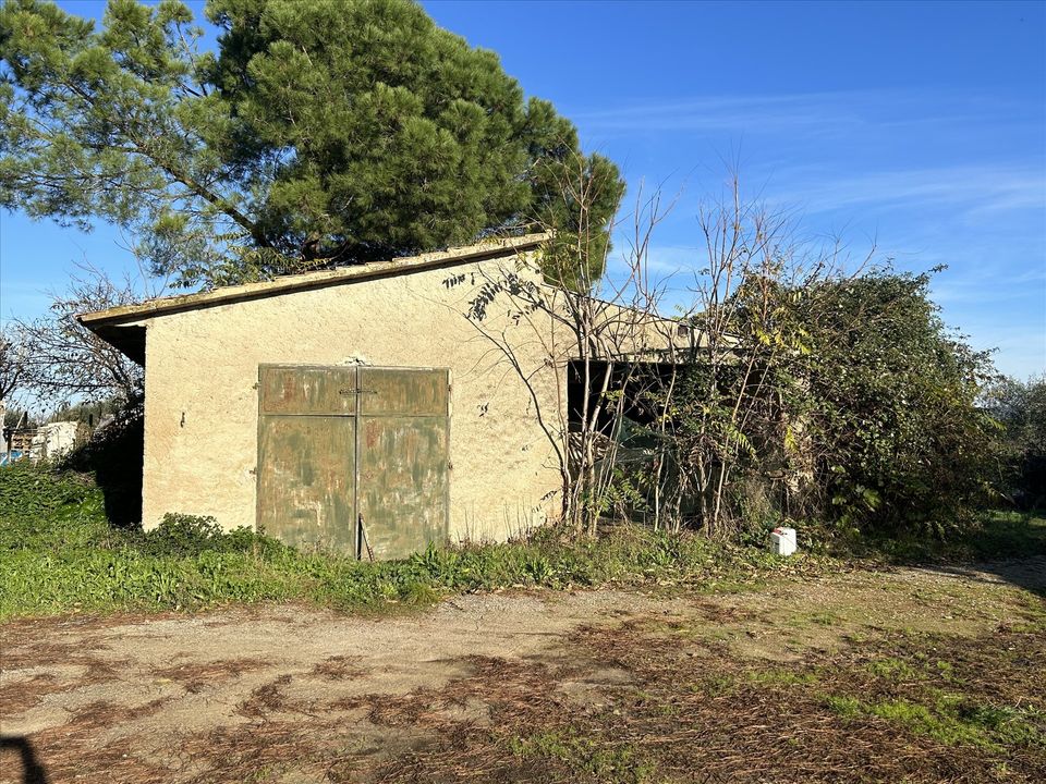 Farm hus i Castiglione del Lago, Perugia - foto 5