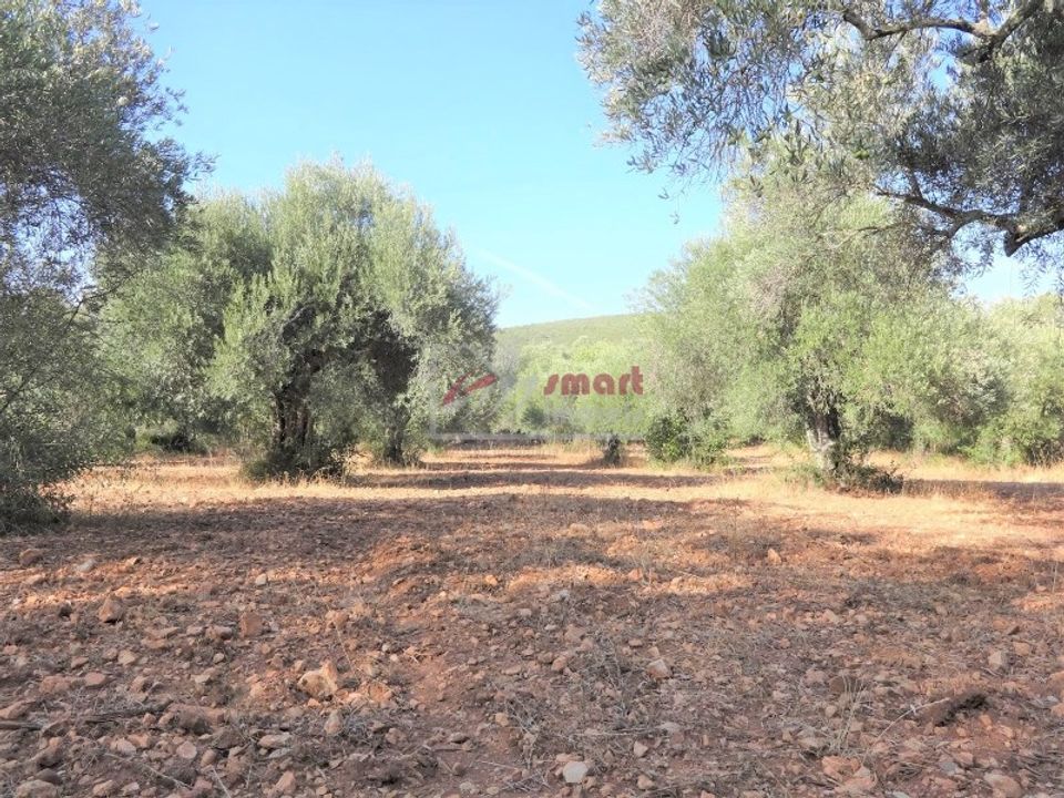 Terreno en Boliqueime, Faro - foto 1