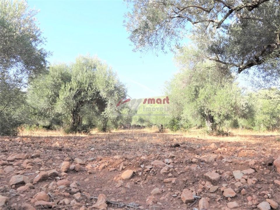 Terreno en Boliqueime, Faro - foto 3