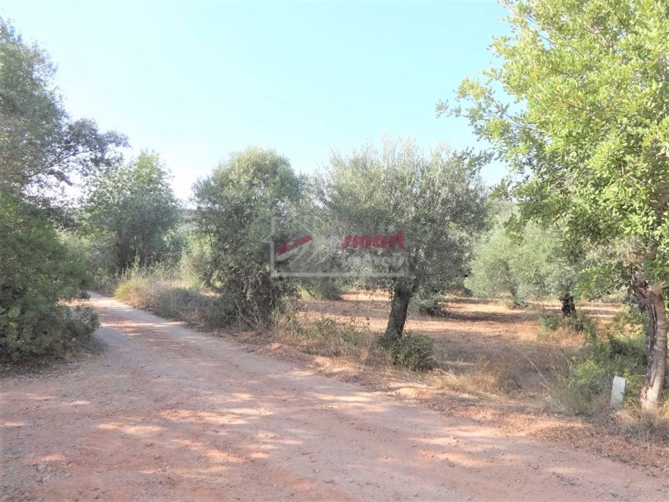 Terreno en Boliqueime, Faro - foto 5