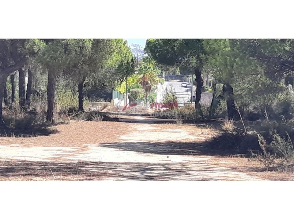 Helårsgrund i Almancil, Faro - foto 3
