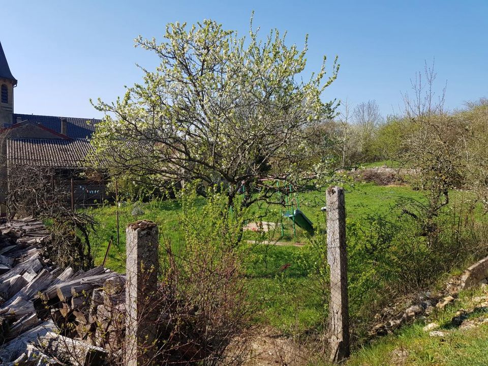 Helårsgrund i Saint-Julien-lès-Gorze, Meurthe-et-Moselle - foto 4