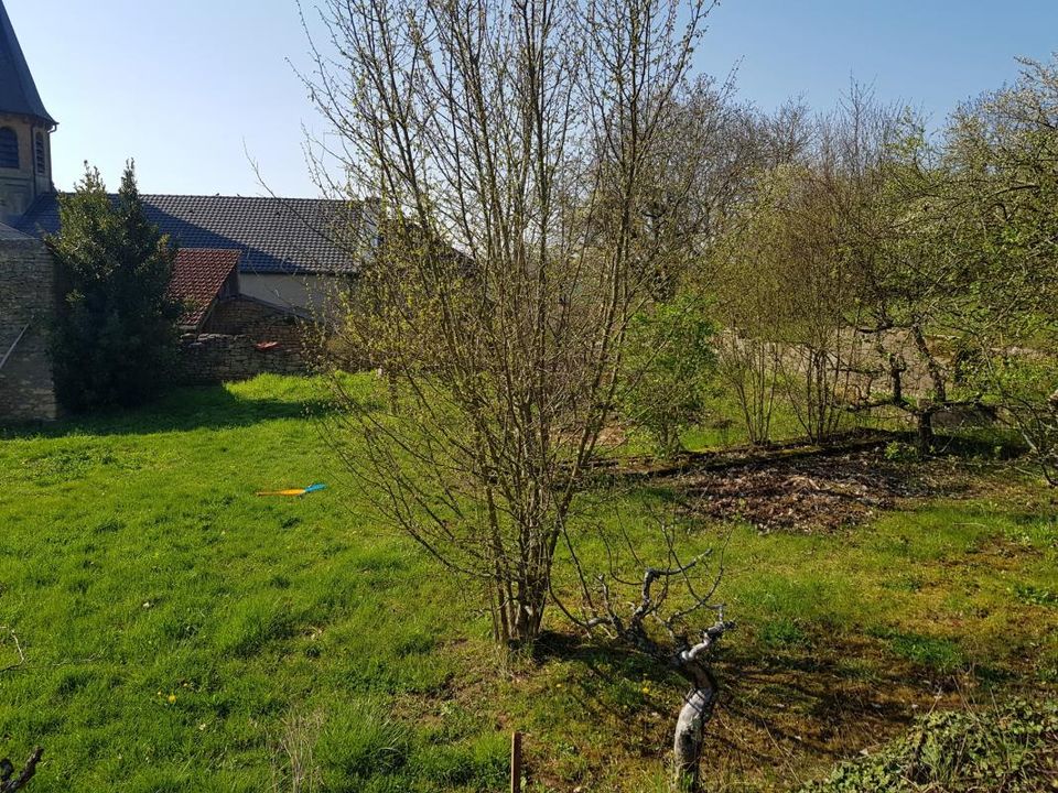 Helårsgrund i Saint-Julien-lès-Gorze, Meurthe-et-Moselle - foto 5