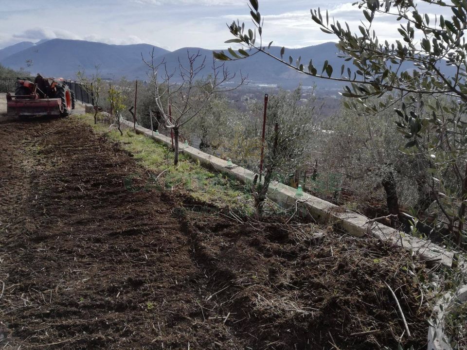 Helårsgrund i Avella, Avellino - foto 2