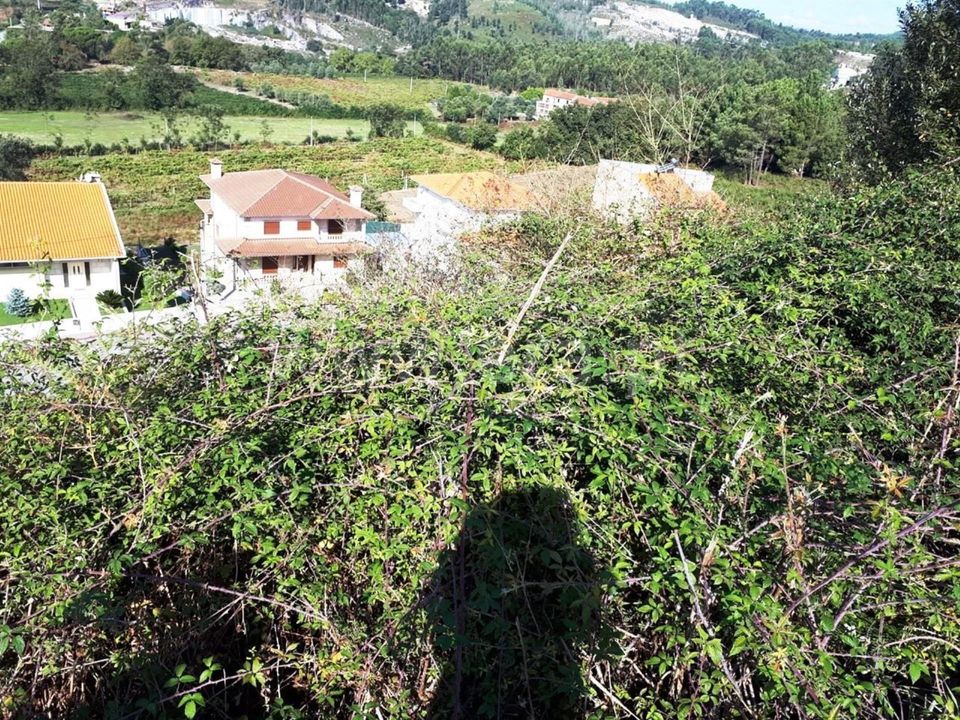 Helårsgrund i Povoa de Lanhoso, Braga - foto 4