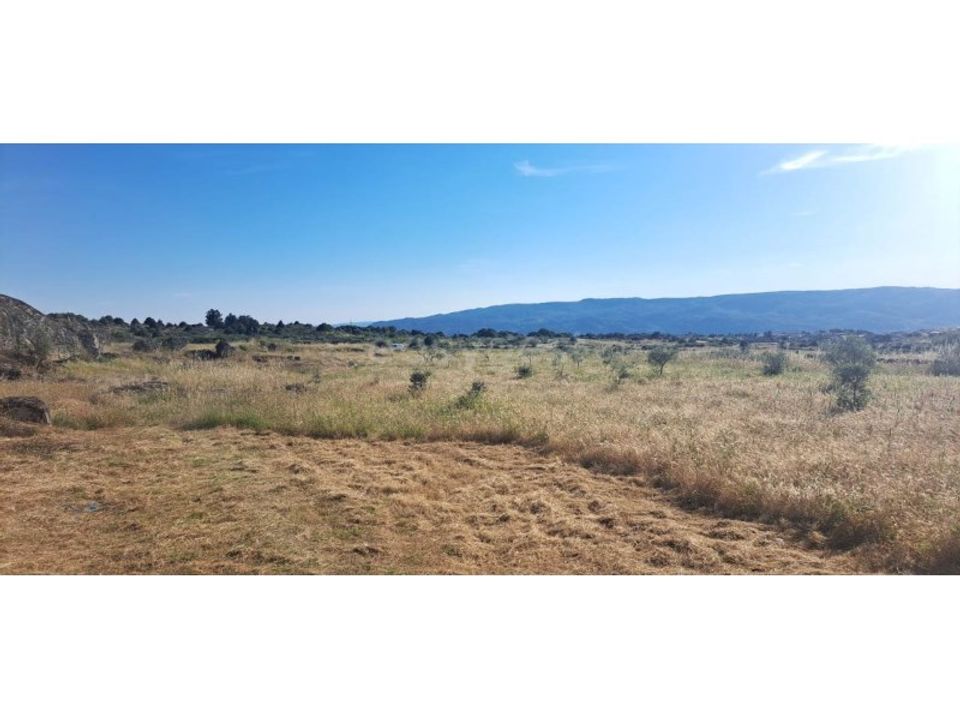 Helårsgrund i Adeganha e Cardanha, Braganca - foto 3