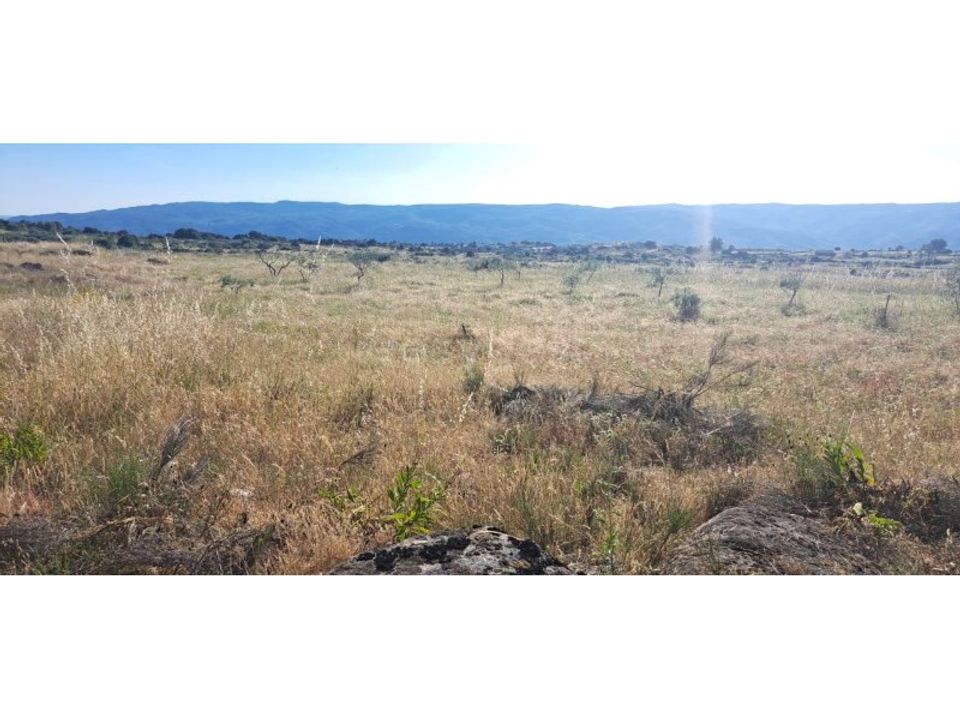 Helårsgrund i Adeganha e Cardanha, Braganca - foto 5