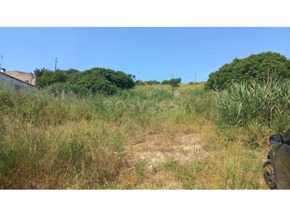 Terra a Pernes, Santarem - foto 1