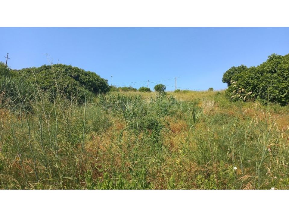 Terra a Pernes, Santarem - foto 2