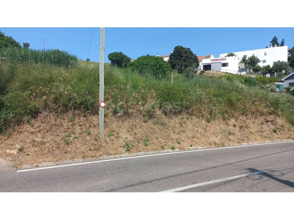 Terra a Pernes, Santarem - foto 5
