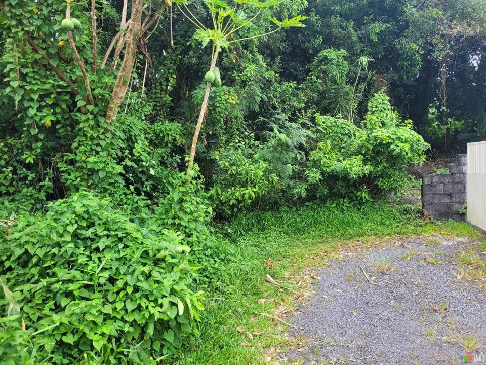 Tomt i Sainte-Anne, La Reunion - bilde 1