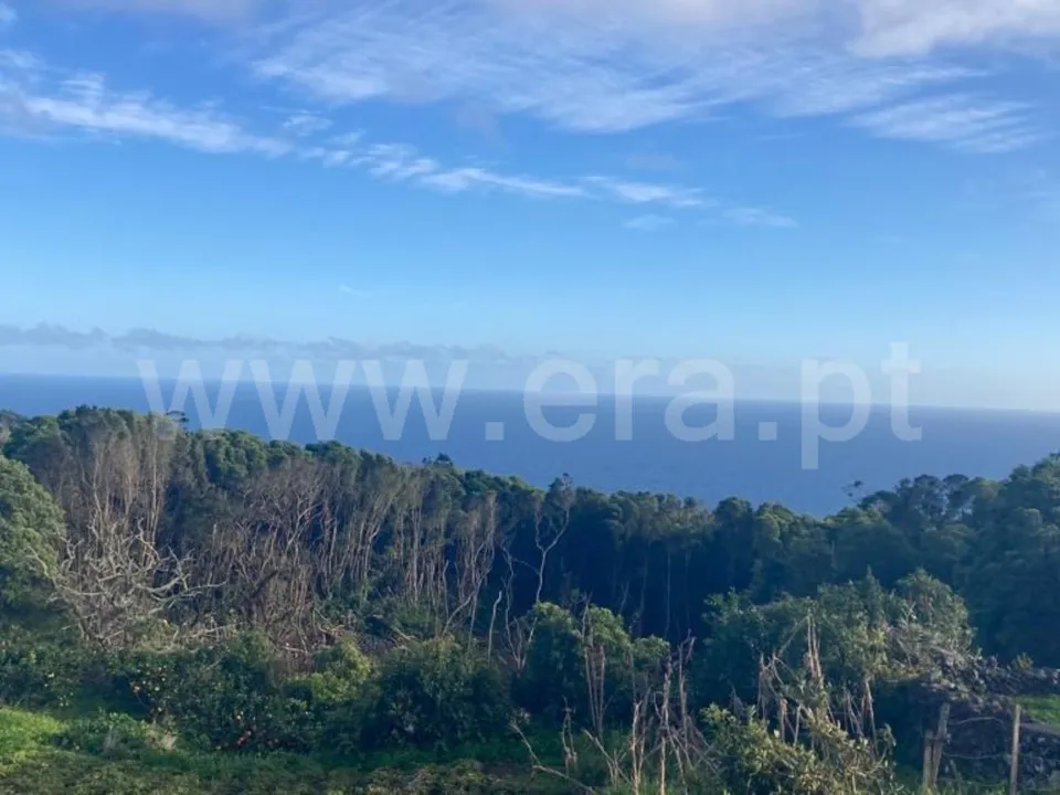 Landejendom i Lajes do Pico, Pico - foto 2
