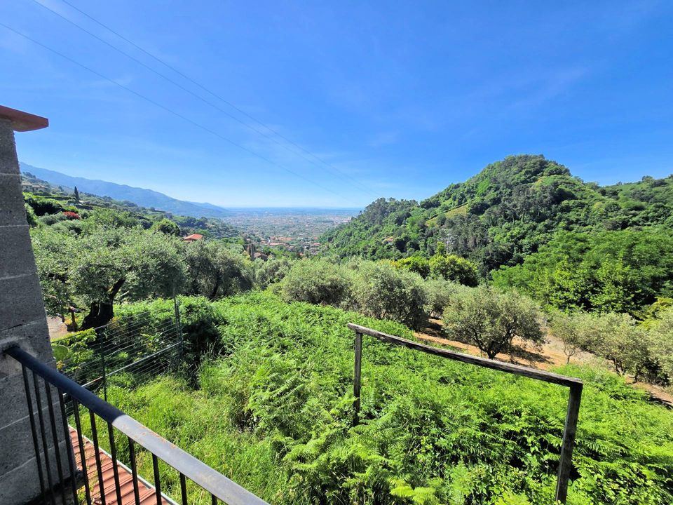 Villa i Pietrasanta, Lucca - foto 3