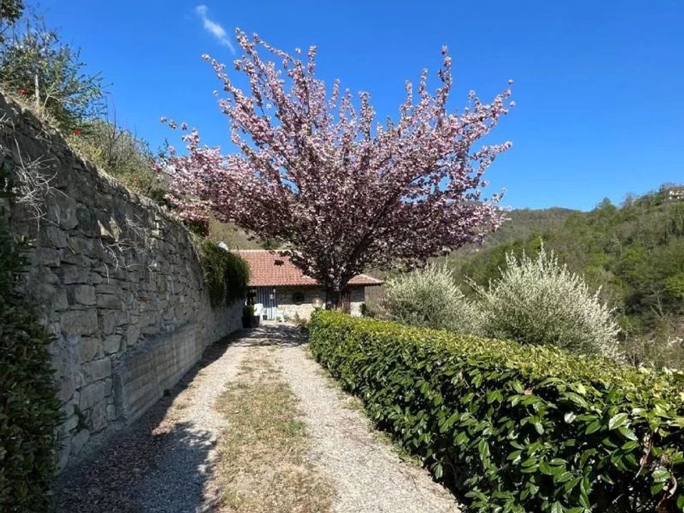 Landejendom i Cortemilia, Cuneo - foto 4