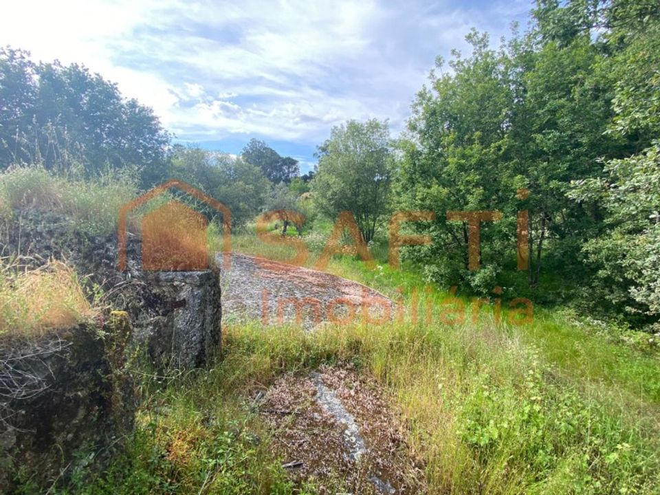 Villa i Ranhados, Viseu - bilde 3