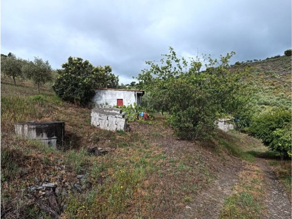 Helårsgrund i Vila Nova de Foz Coa, Guarda - foto 4
