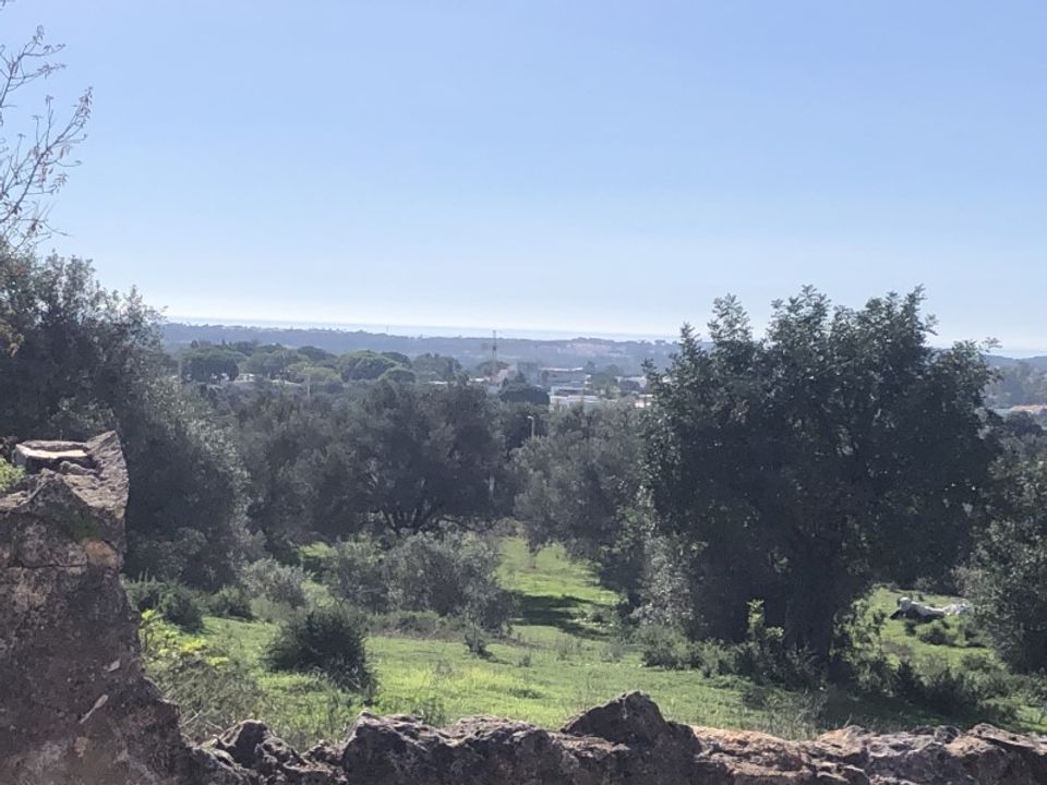 Helårsgrund i Boliqueime, Faro - foto 5