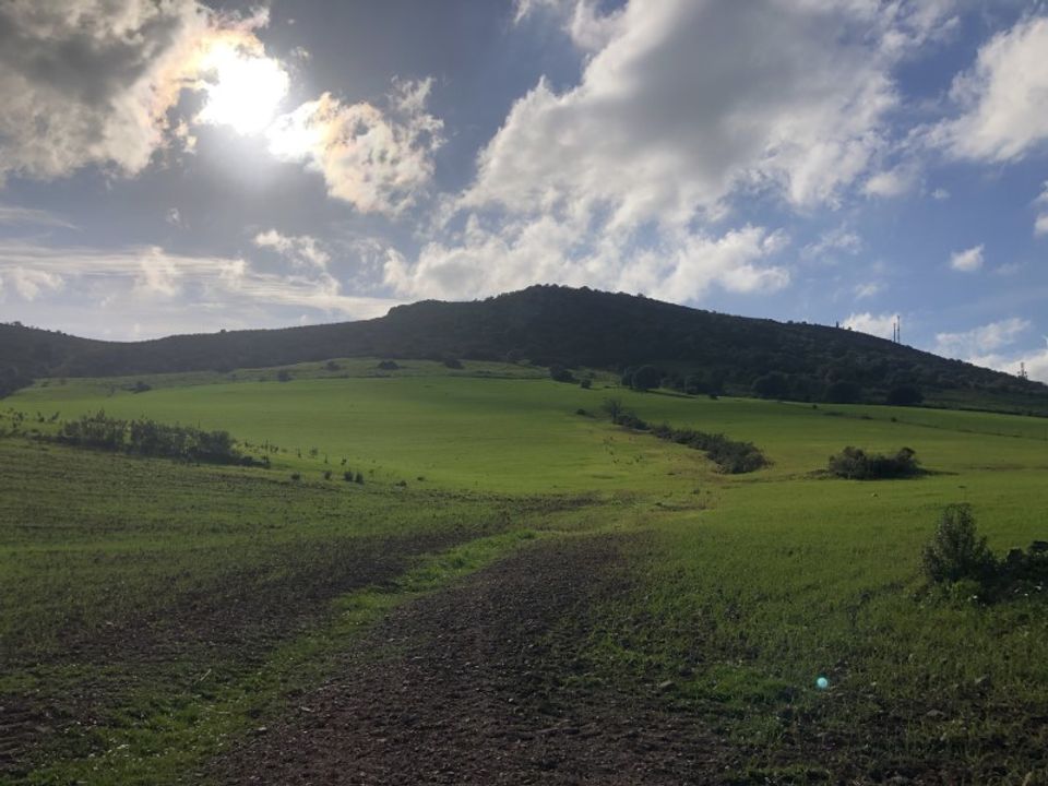 Helårsgrund i Mertola, Beja - foto 1