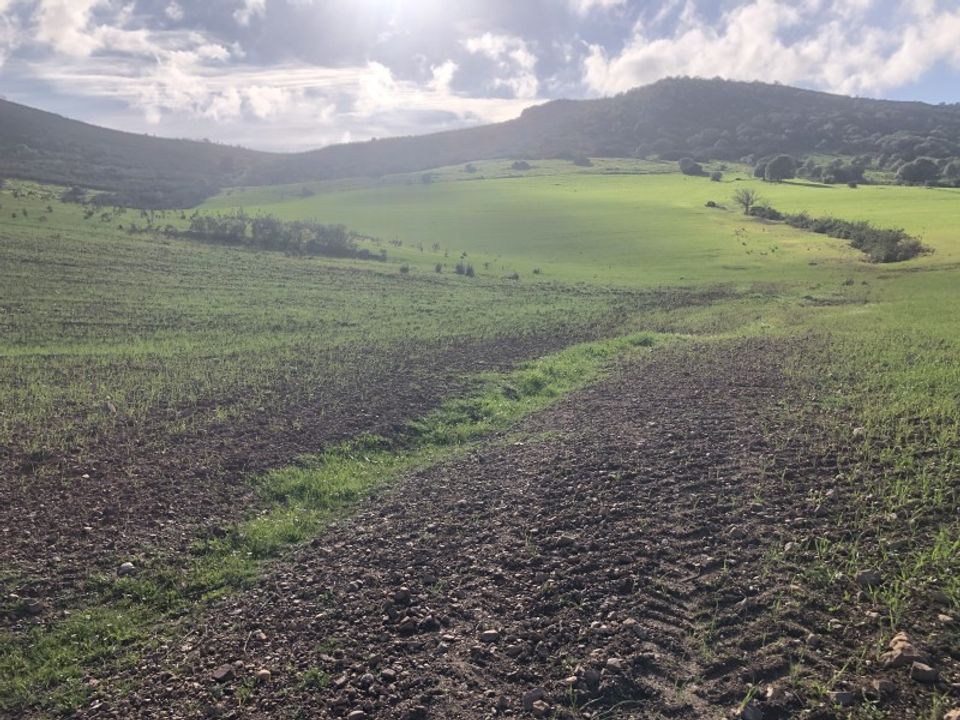 Helårsgrund i Mertola, Beja - foto 4