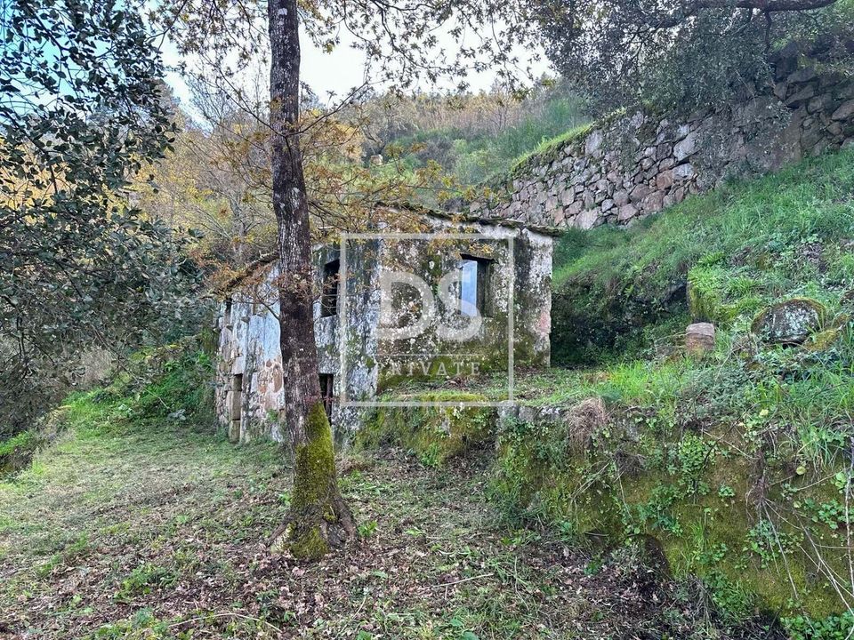 Ruinere i Tarouquela, Viseu - foto 1