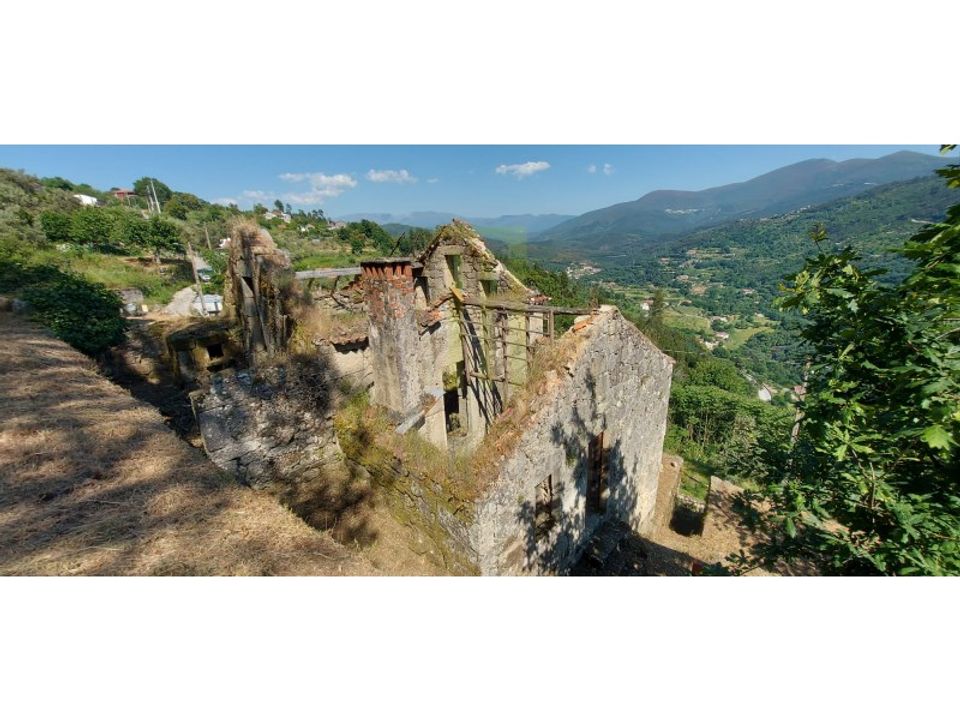 Farm i Santa Ovaia e Vila Pouca da Beira, Coimbra - foto 3