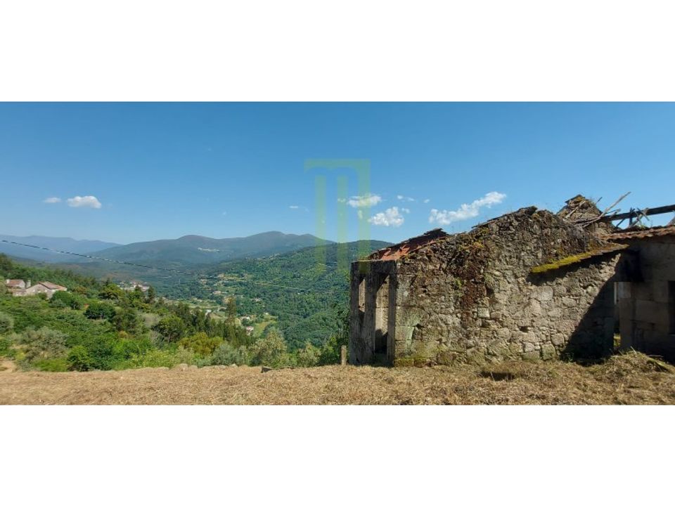 Farm i Santa Ovaia e Vila Pouca da Beira, Coimbra - foto 5