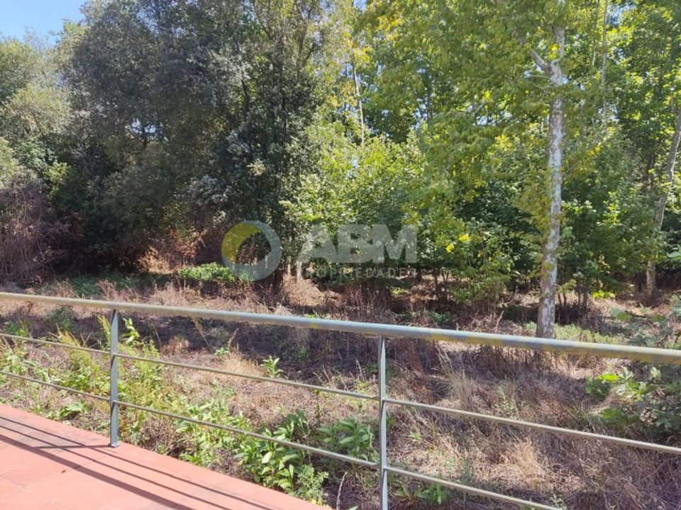 Farm i Estarreja, Aveiro - foto 3