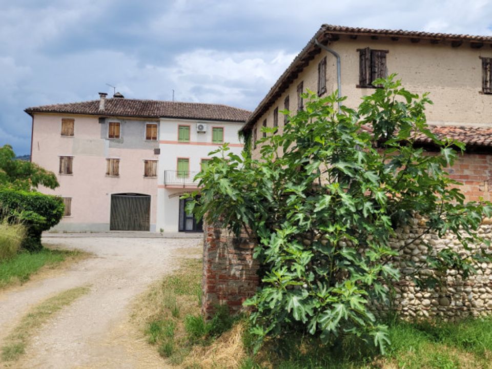 Villa i Maser, Treviso - bilde 4