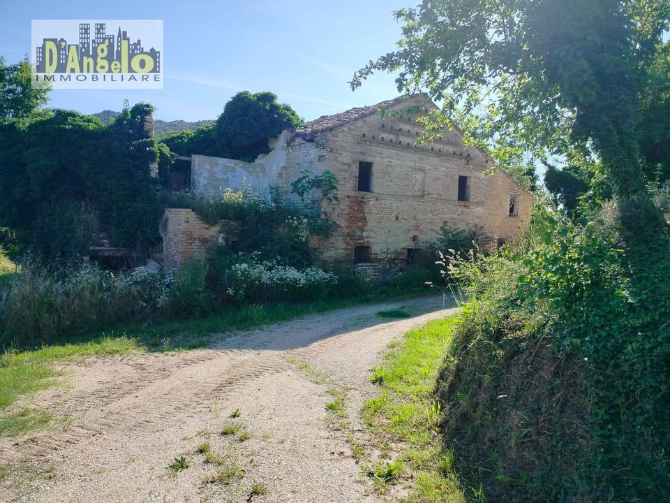 Farm i Castignano, Ascoli Piceno - foto 3