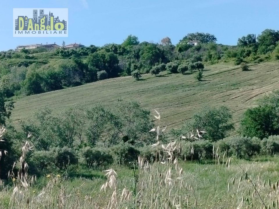 Farm i Castignano, Ascoli Piceno - foto 4