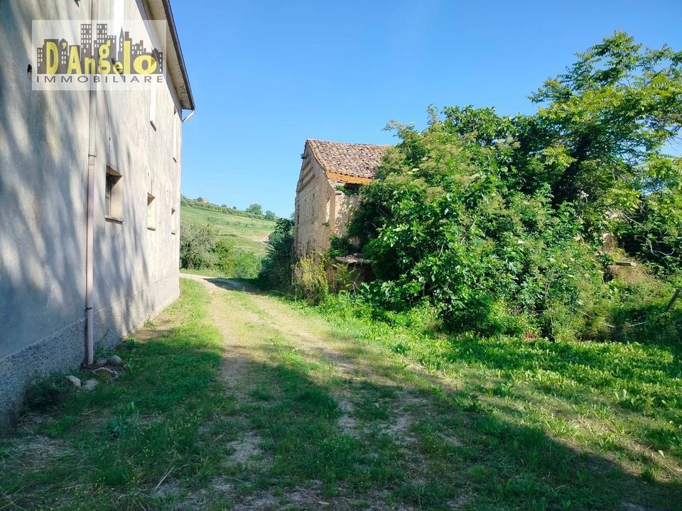 Farm i Castignano, Ascoli Piceno - foto 5
