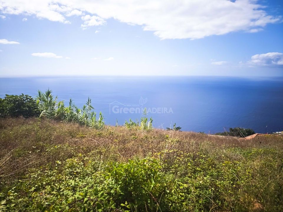 Villa i Ribeira Brava, Madeira - foto 1
