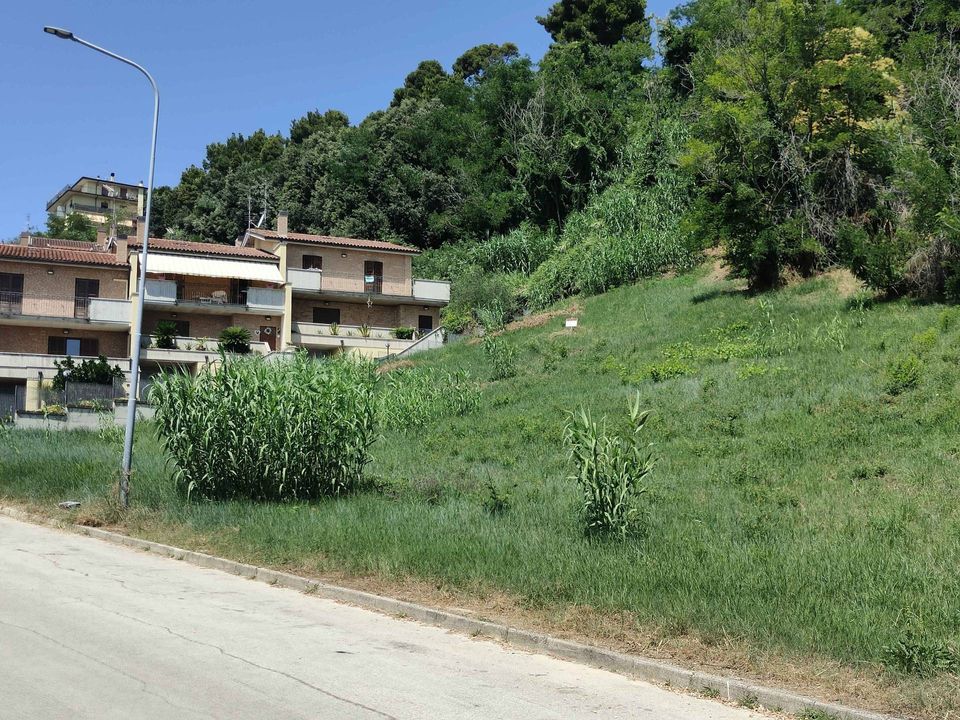 Helårsgrund i Acquaviva Picena, Ascoli Piceno - foto 4