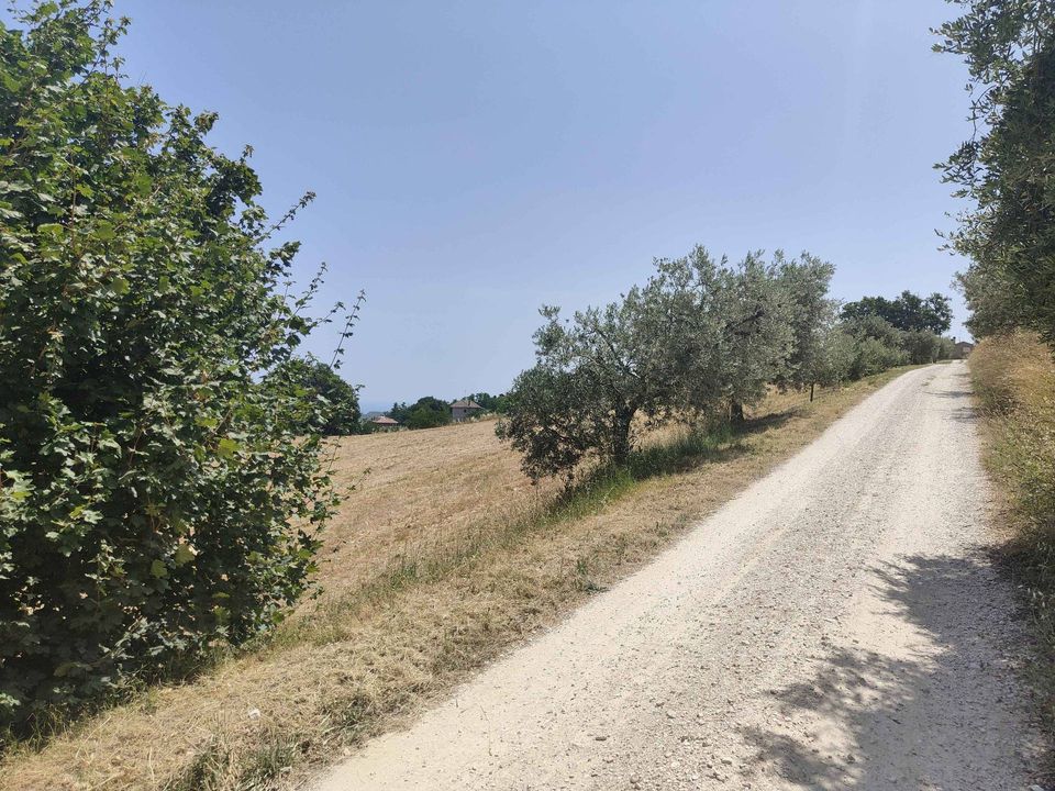 Terreno en Acquaviva Picena, Ascoli Piceno - foto 3