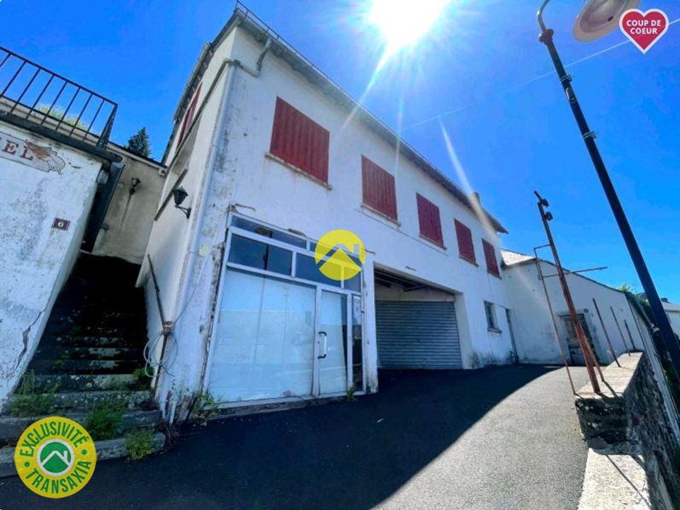 Erhvervsejendom i Pierrefort, Cantal - foto 1