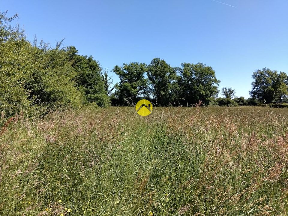 Helårsgrund i Lurcy-Levis, Allier - foto 4