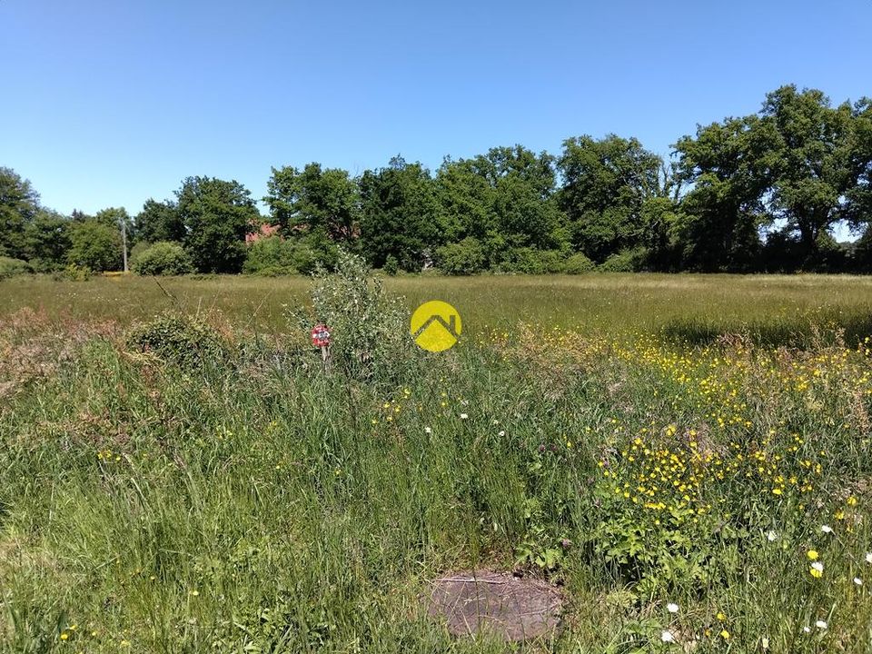Helårsgrund i Lurcy-Levis, Allier - foto 5