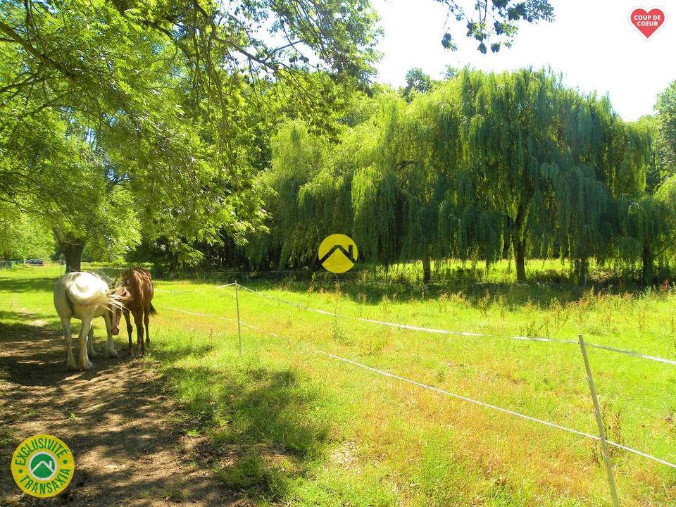 Helårsgrund i Savigny-en-Sancerre, Cher - foto 3
