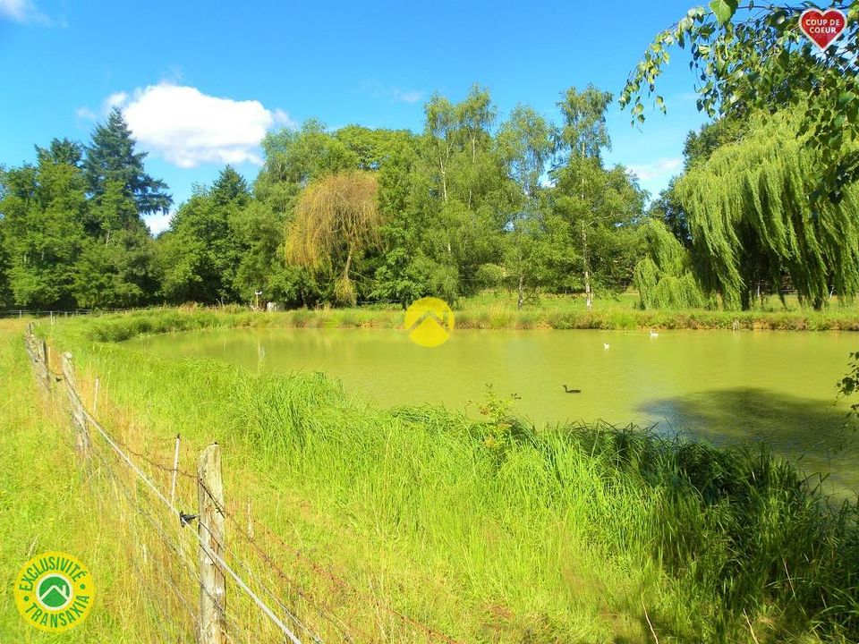 Helårsgrund i Savigny-en-Sancerre, Cher - foto 4