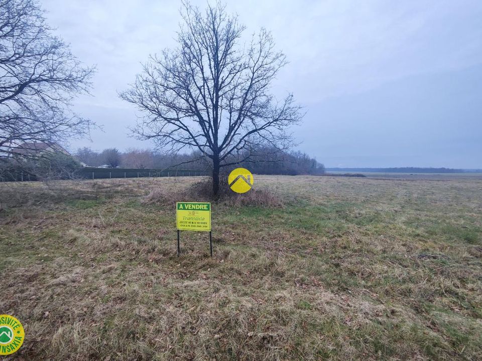 Terra a Tracy-sur-Loire, Nievre - foto 1