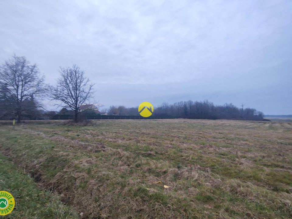 Terra a Tracy-sur-Loire, Nievre - foto 2