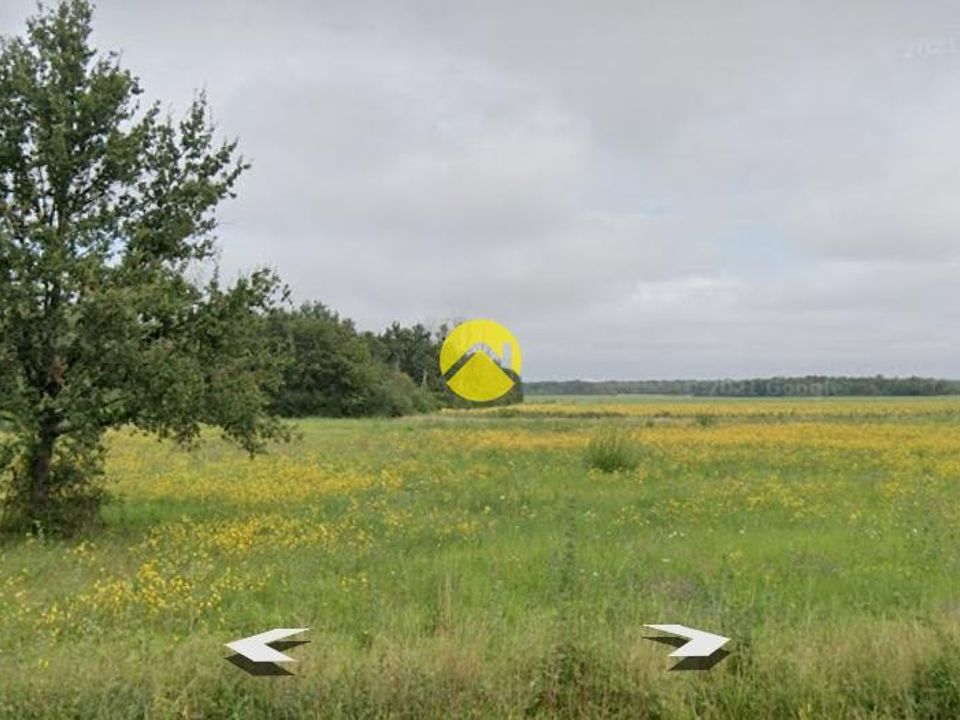 Terra a Tracy-sur-Loire, Nievre - foto 3