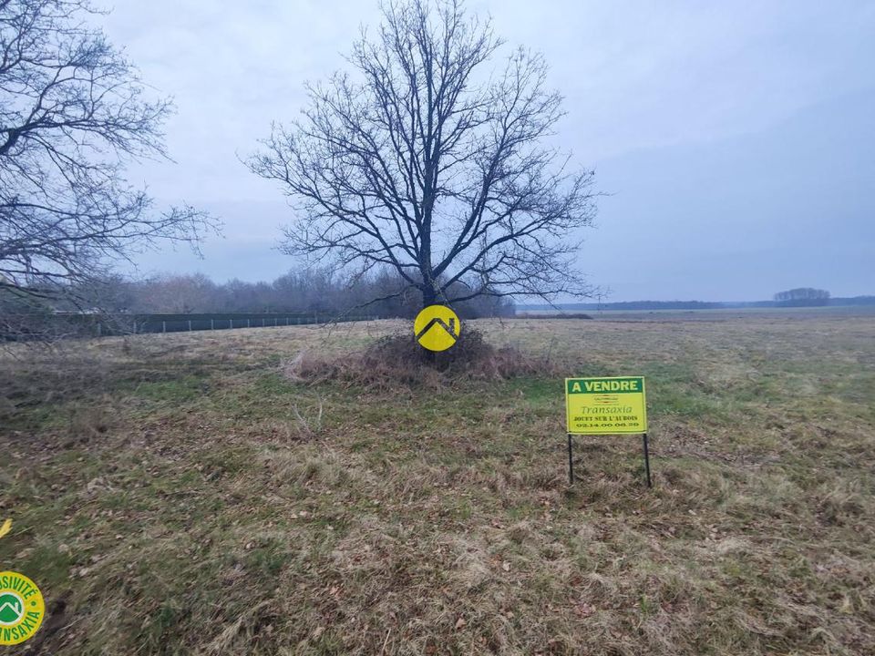 Terra a Tracy-sur-Loire, Nievre - foto 4